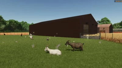 Road master building v1.0.1.0