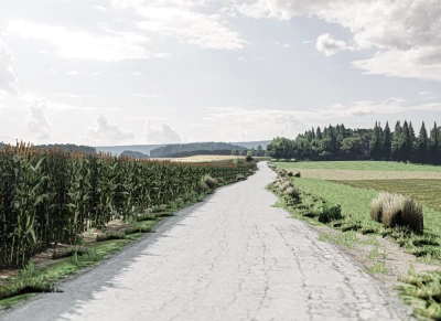 Stryckovy, CZ (Rally) V1.0