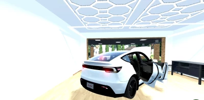 Tesla Model Y Juniper v1.0 0.34