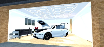 Tesla Model Y Juniper v1.0 0.34