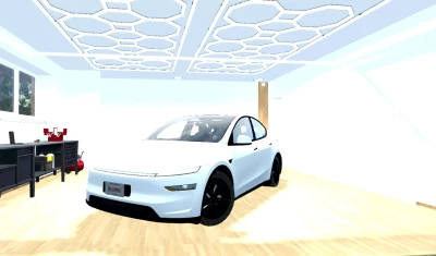 Tesla Model Y Juniper v1.0 0.34