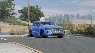 AUDI Q8 E-TRON v1.0