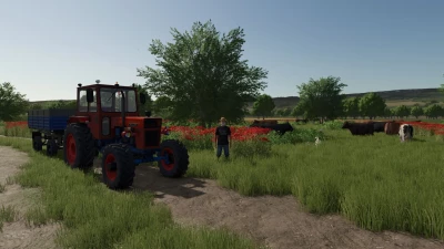 Baraitaru Map v1.0.0.0