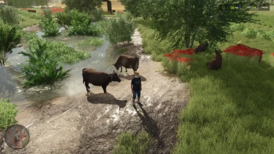 Bărăitaru Map v1.0.0.1