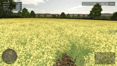 Bird scarer v1.0.0.1