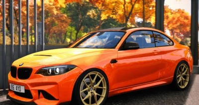 BMW M2 2016-2022 0.35