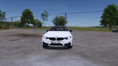 BMW M3 F80 v1.0.0.0