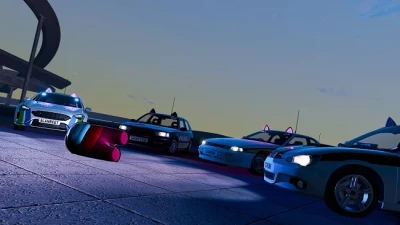 Cat Ears vCat_b v1.0