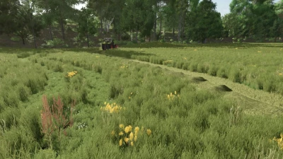 Grass with Dandelions and Daisies v1.0.0.2