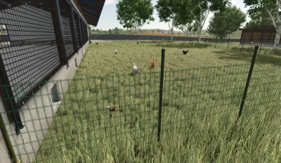 Large Chickenbarn v1.1.0.0