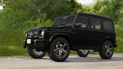 Mercedes Benz G65 AMG v1.0.0.0