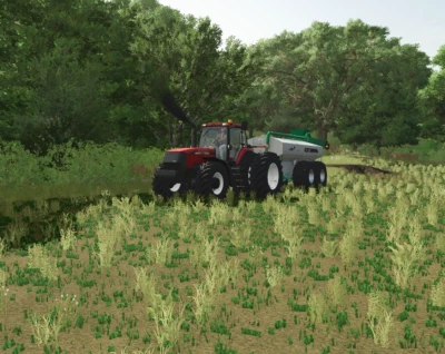 MX Magnum series US v1.0.0.0