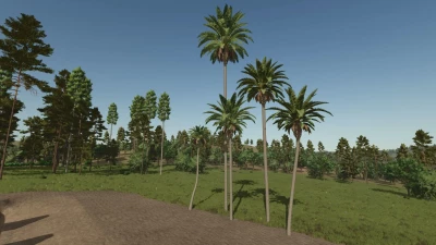 Placeable palm tree v1.0.0.0