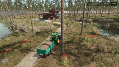 PONDEROSA PINE FOREST v1.0.0.2