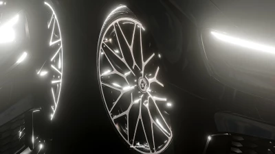 RIM'S HRE P 200 x Toyo PROXES R888 v1.0