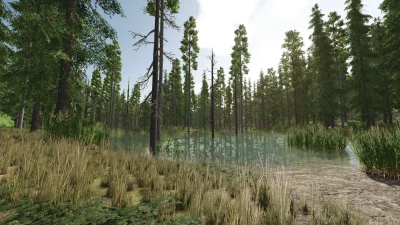 Riverbend Springs Forest v1.0.0.1