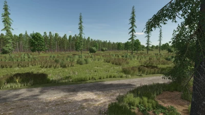 Sunshine Forest Map v1.0.0.0