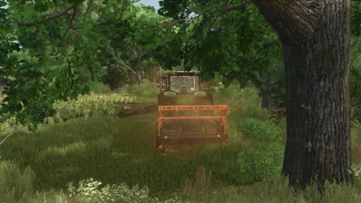 TMC Cancela TFR 250 v1.0.0.0