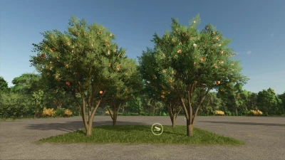 Apple Tree v1.0.0.0