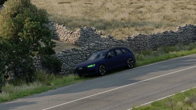 AUDI A4 B9 AVANT v1.0
