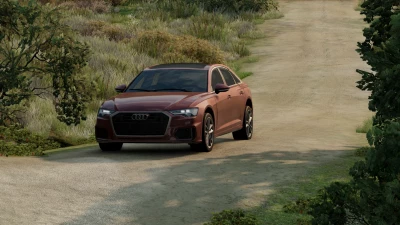 AUDI A6 C8 v1.0