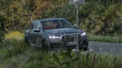 AUDI Q7 4M v1.0