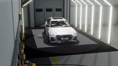 AUDI RS6 C8 v1.1