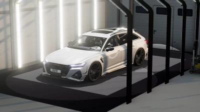 AUDI RS6 C8 v1.1