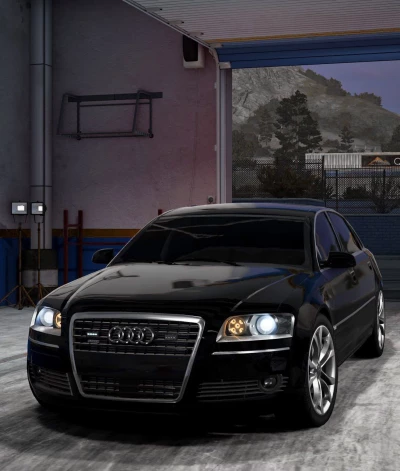 Audi S8 (D3) 0.35.x