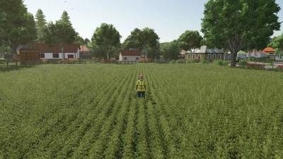 Bărăitaru Map v1.0.0.2