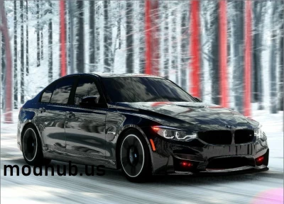 BMW 3-Series M3 F80-F81 V3.2 0.35