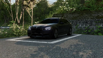 BMW M5 F10 0.34