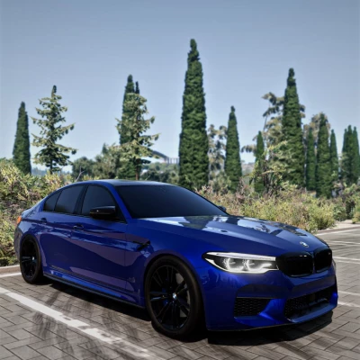 BMW M5 F90 V3.03 0.35.x