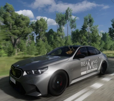 BMW M5 F90/G90 0.35.x