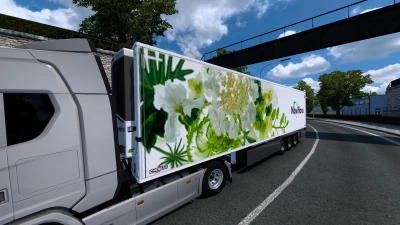 Chereau Trailer by MDModding noviflora skin trailer mods v1.0