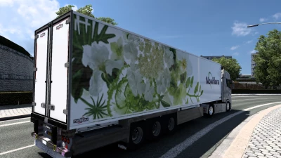 Chereau Trailer by MDModding noviflora skin trailer mods v1.0