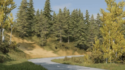 Finlayson Brook Road (New Zealand) 0.35.x