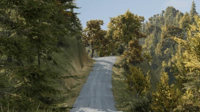 Finlayson Brook Road (New Zealand) 0.35.x