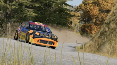 Finlayson Brook Road (New Zealand) 0.35.x