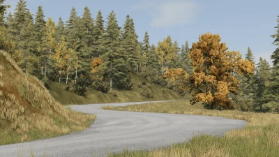 Finlayson Brook Road (New Zealand) 0.35.x