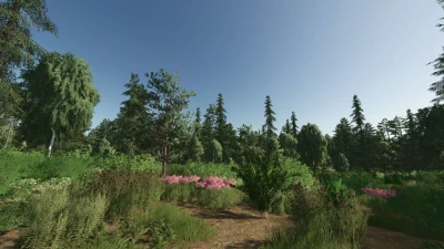 Forest Valley v1.0.2.0
