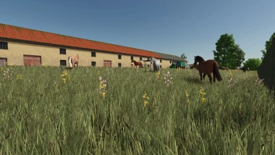 Horse Barn Big v1.0.0.0