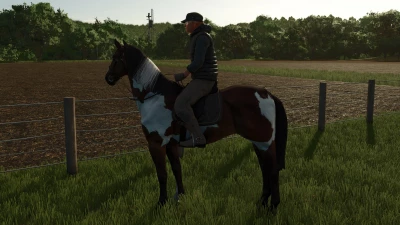 HorseHelper v1.0.0.0