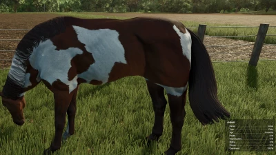 HorseHelper v1.0.0.0