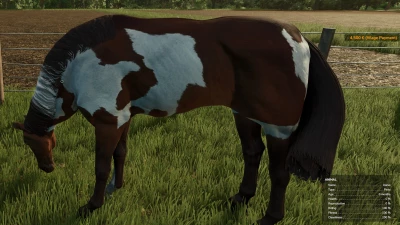 HorseHelper v1.0.0.0