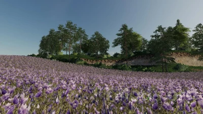 Kolkhoz Partsezd v1.6