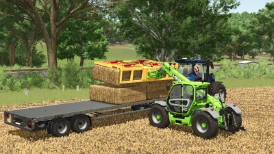 Lizard Quadra Pack v1.0.0.0