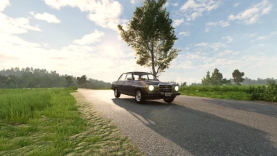 Mercedes-Benz E-Class W123 v1.0