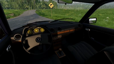 Mercedes-Benz E-Class W123 v1.0