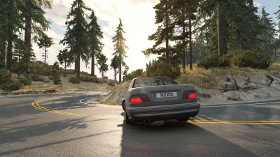 Mercedes-Benz E-Class W210 v1.0